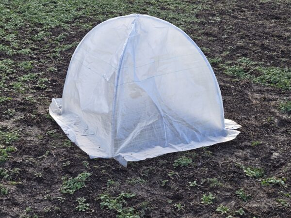 Large Heat Dome  (3 per pack)